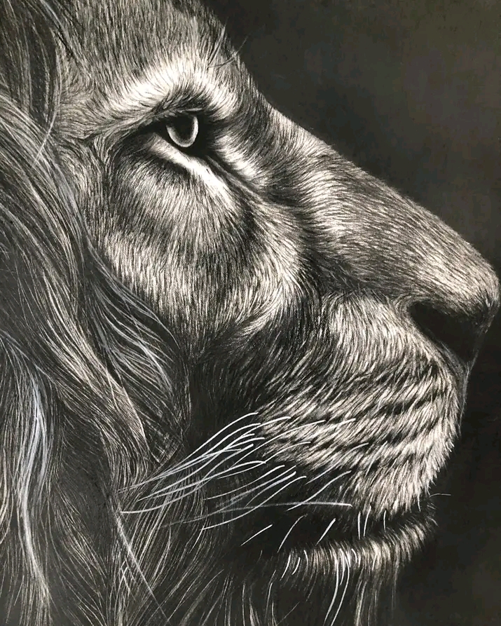 Artwork: Lion, Black & White , Charcoal painting & pencil drawing w/wooden Frame,size 2A by 3 feet :Draw the picture as the customer wants