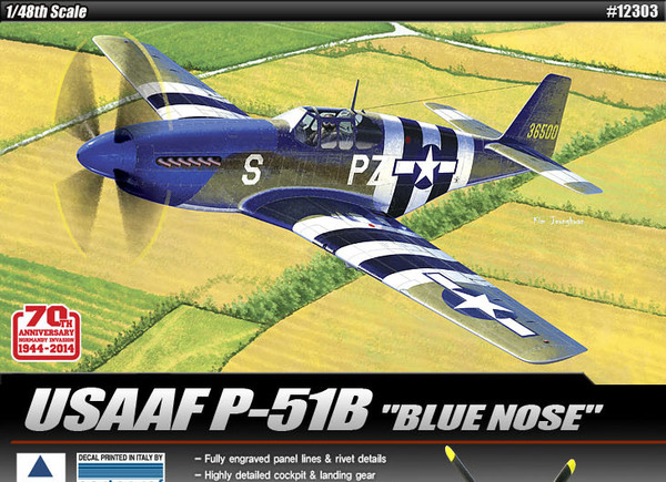 1/48 USAAF P-51B "Blue Nose" :AC12303